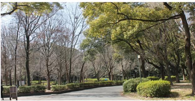 大阪城公園（徒歩19分／約1.3km）